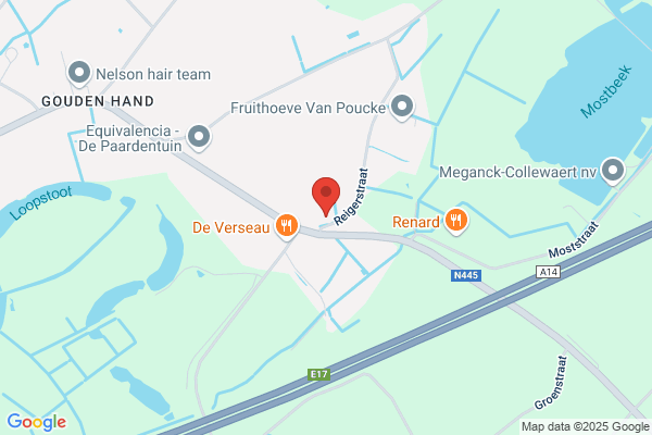 De Paepe E