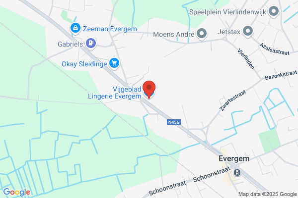 Regelbrugge Vic
