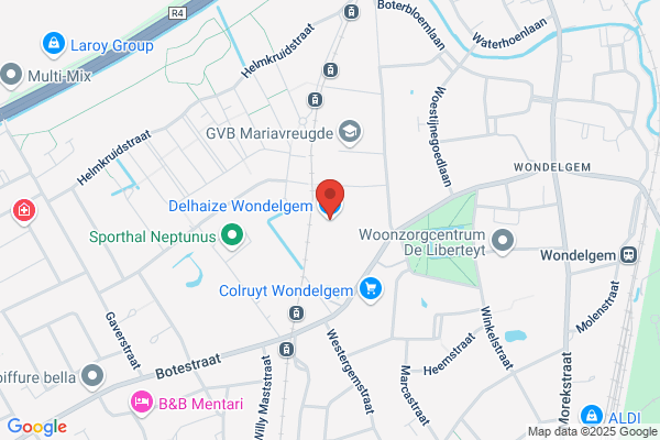 Delhaize Groep Nv