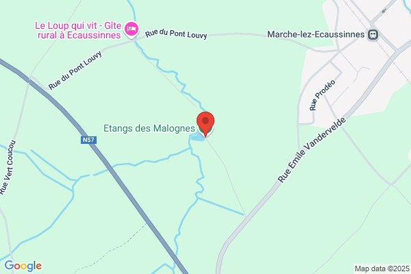 Etang (L') (De)