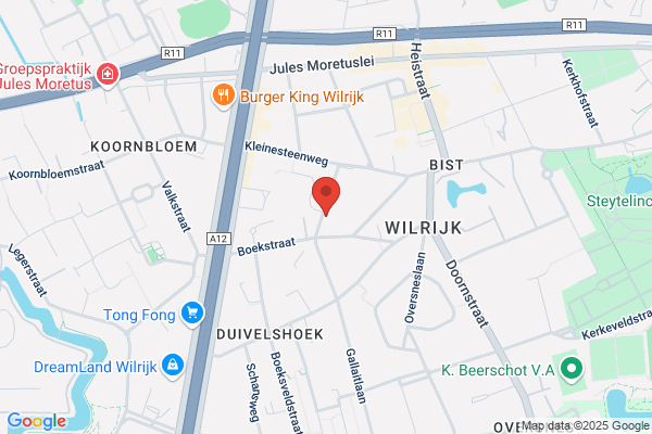 Bergmans Willy