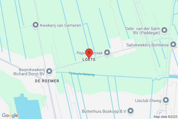 Loete P