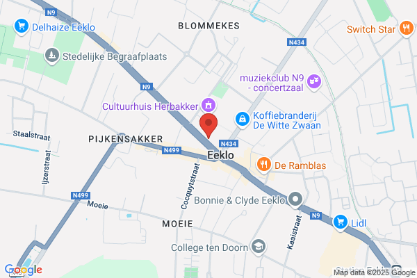 De Steur