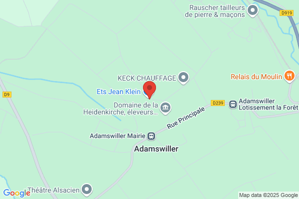 Ciseaux D'argent (Les)