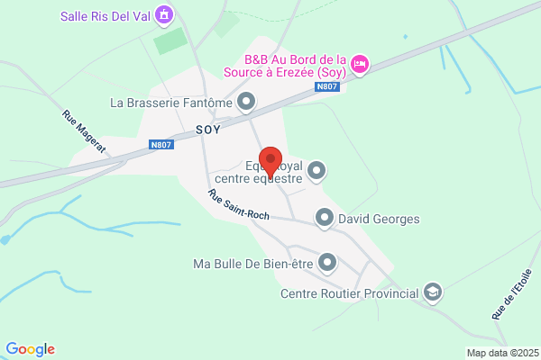 Borlon Sa