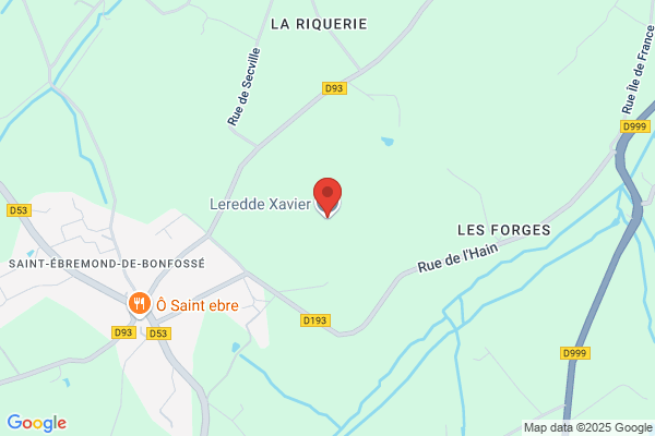 Entreprises Equestres Fred Et Sunshine