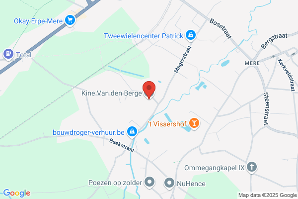 Van Den Berghe W