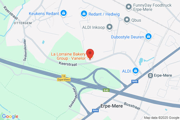 Group Lallemand Nv