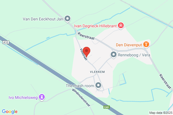 Vijverman W
