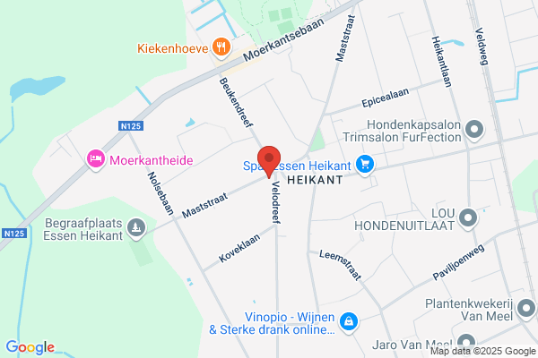 Van Bedaf-Vandekeybus/Johan