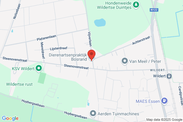 Bosrand (De)