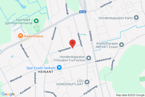 Haers 2000 Bvba