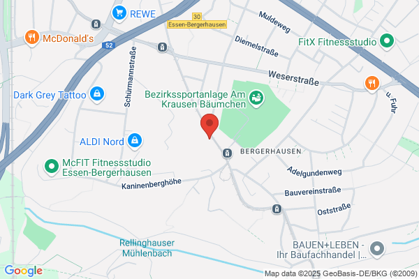 Kolibri Essen