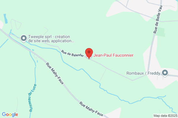 Fauconnier A