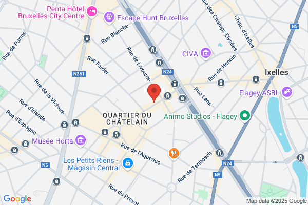 CHAUFFEUR BRUSSELS