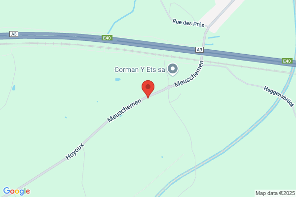 Montis Consult