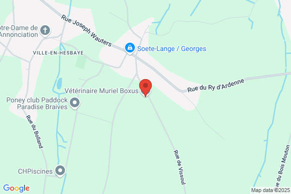 Veterinaires De Hesbaye
