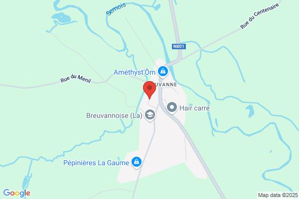 Pireaux Françine