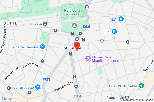 European Services Inc