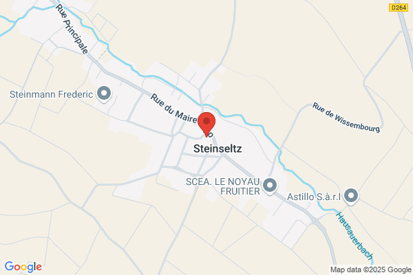 Spits-Wetzels/M.
