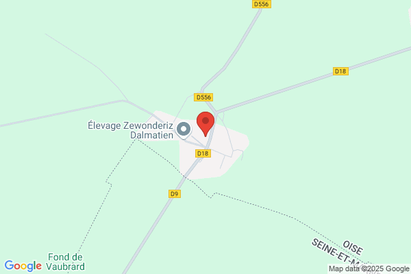 Couvreur/Herwig