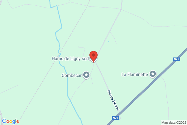 Haras De Ligny