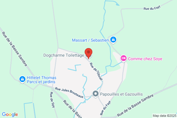 Dogcharme Toilettage
