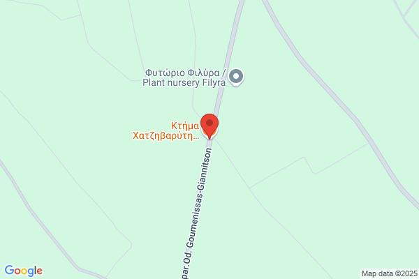Chatzistiliadis/Dimitri