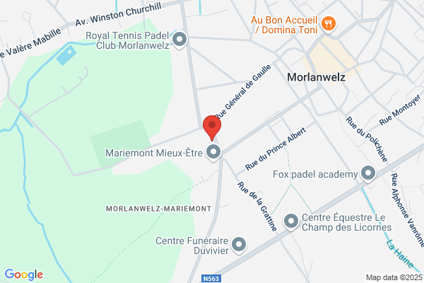 Maison De Mariemont (La) Asbl