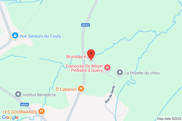Brunieau K.