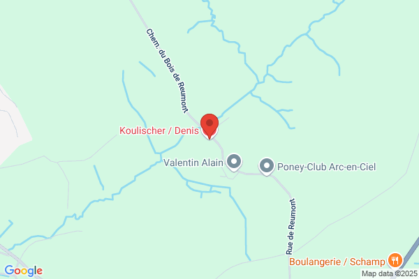 Koulischer Denis