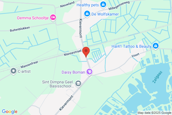 Dams Reinigingssystemen