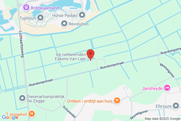 De Rietbeemden