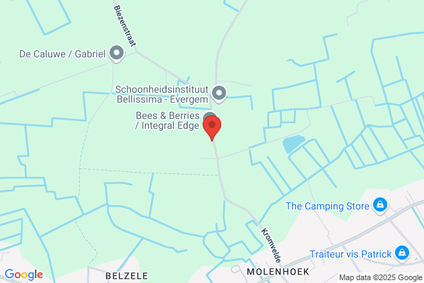 Verdegem T