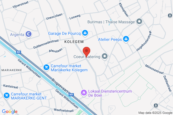 Plastiek Beertje
