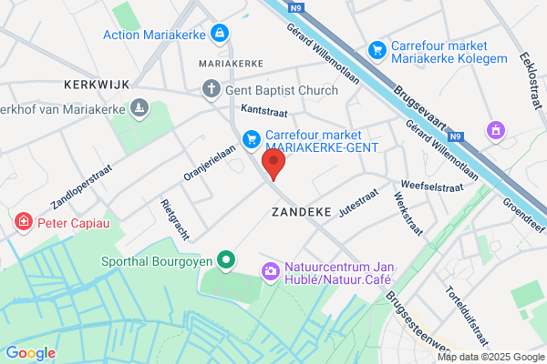 Tineke