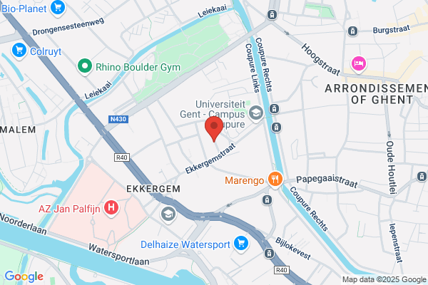 Ivio-Korenbloem Bubao
