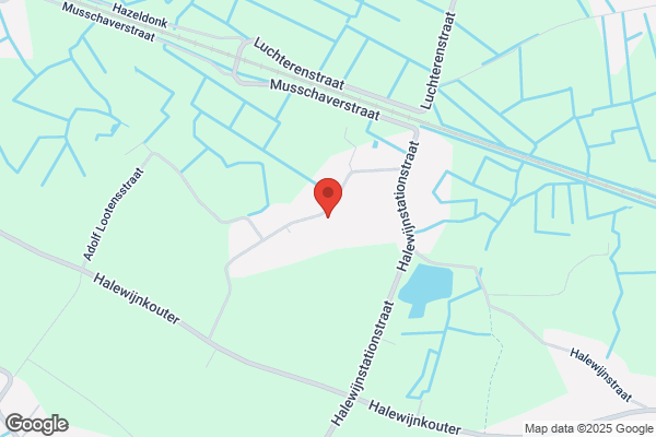 Meulemeester (De)