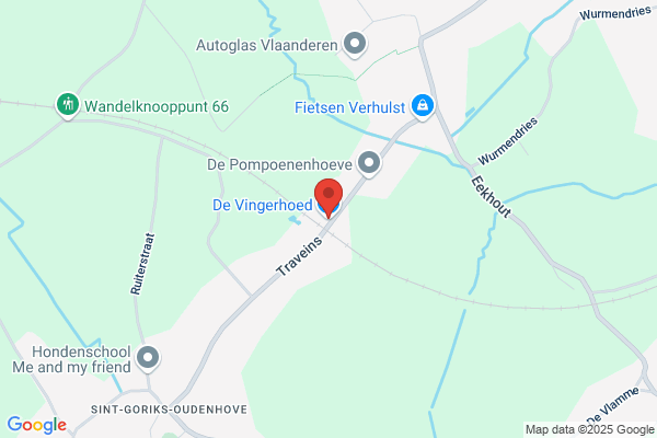 Vingerhoedje ('t)
