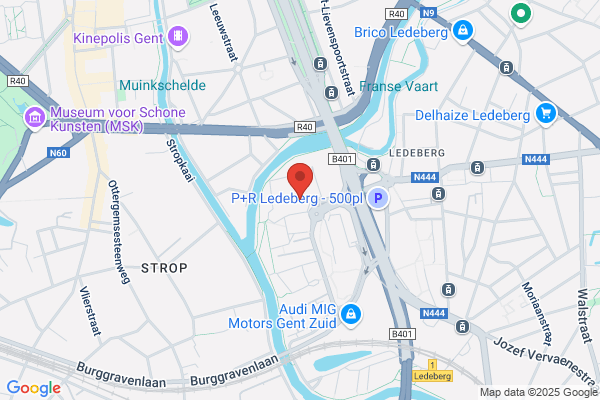 D'hooge