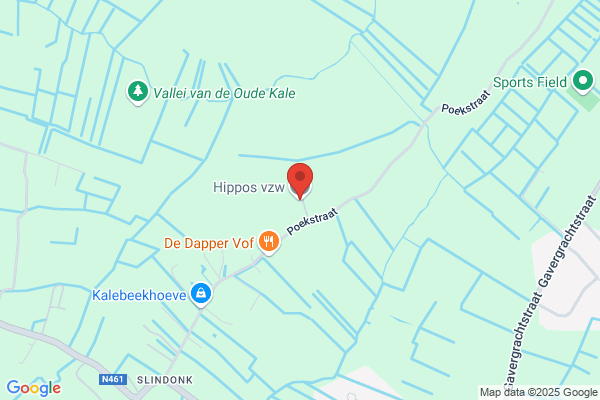 Hippos