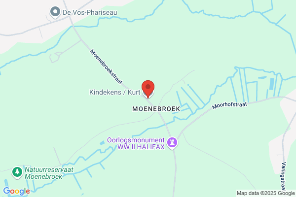 Kindekens