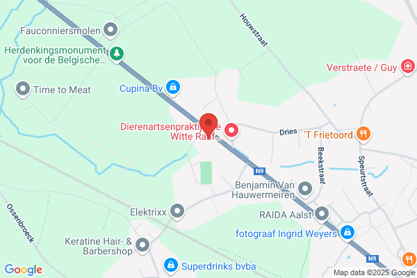 Volckaert S