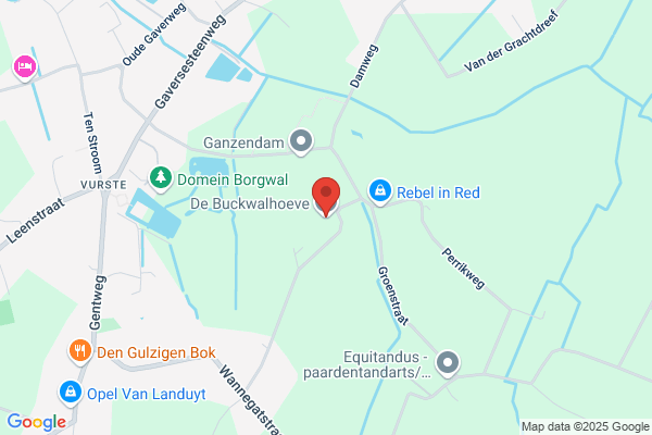 Buckwalhoeve