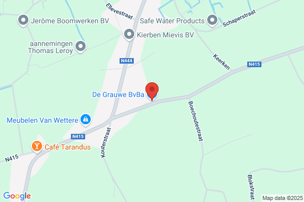 De Grauwe Leon