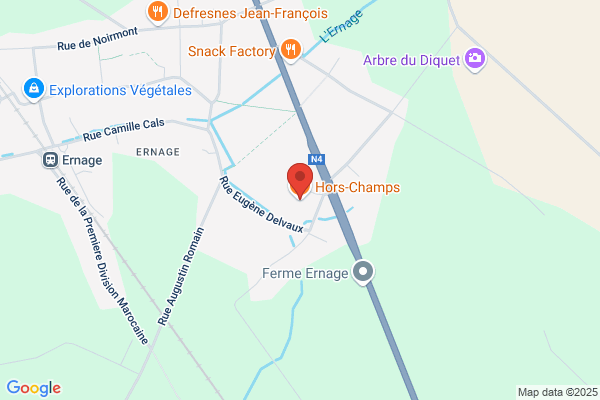 Champs Des Oiseaux