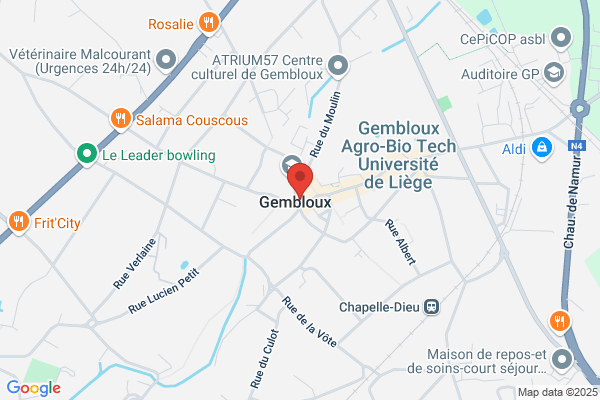 Au Bonheur De L'ampleur
