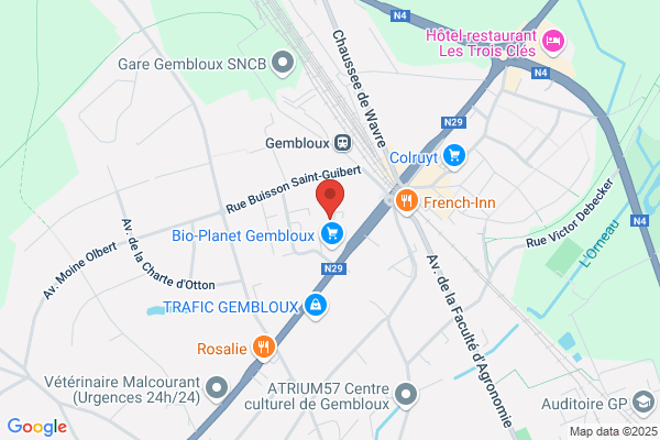 Grenouille Verte (La)