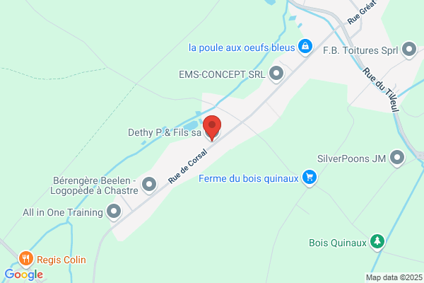 Dethy P & Fils