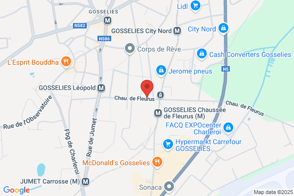 Gosselies Real Estate
